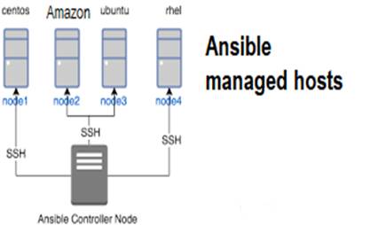 Ansible setup for user creation