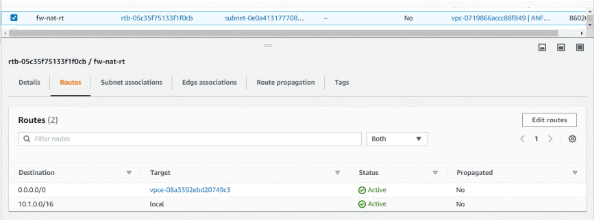 Public Subnet RT